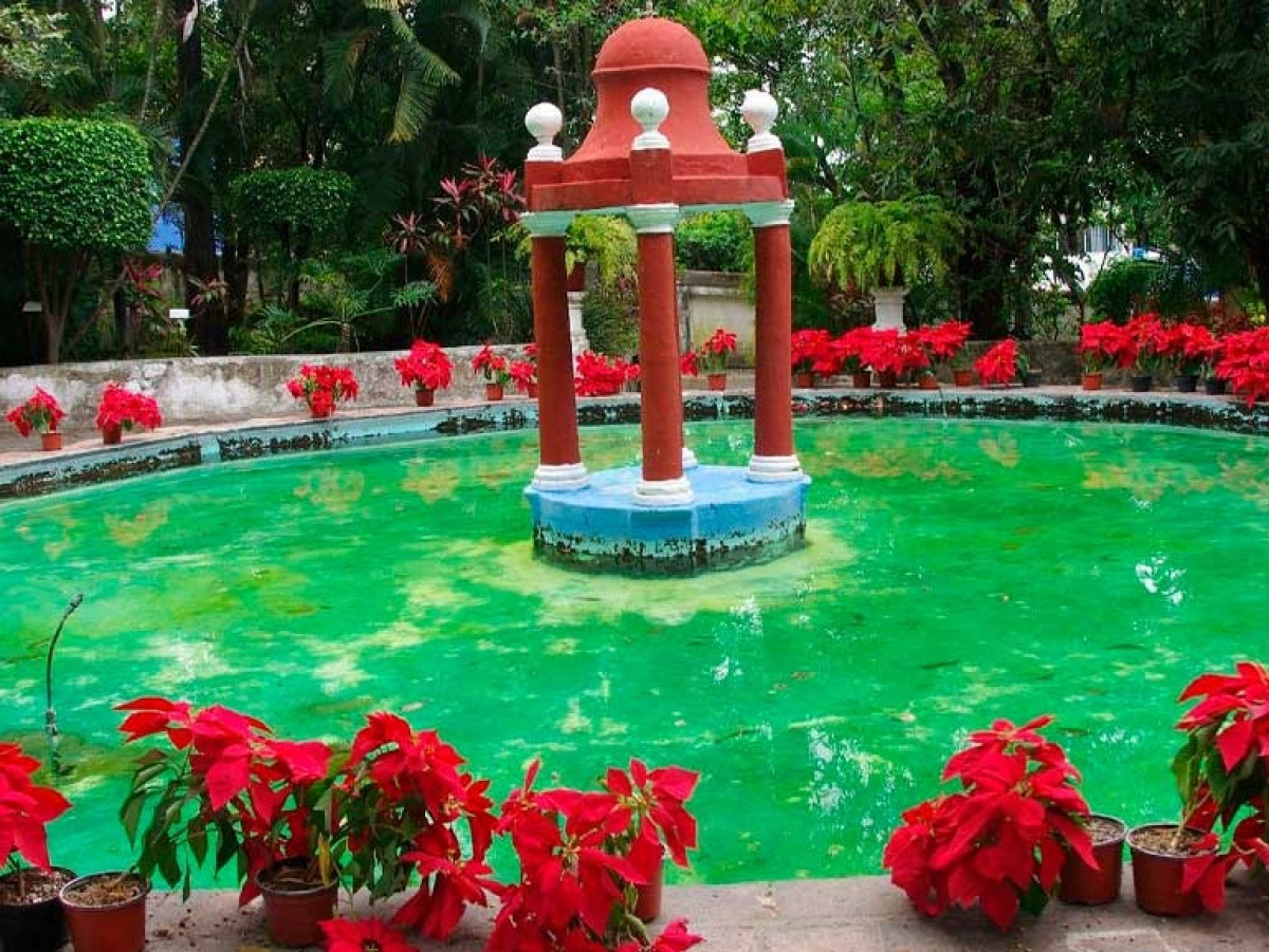 jardín borda